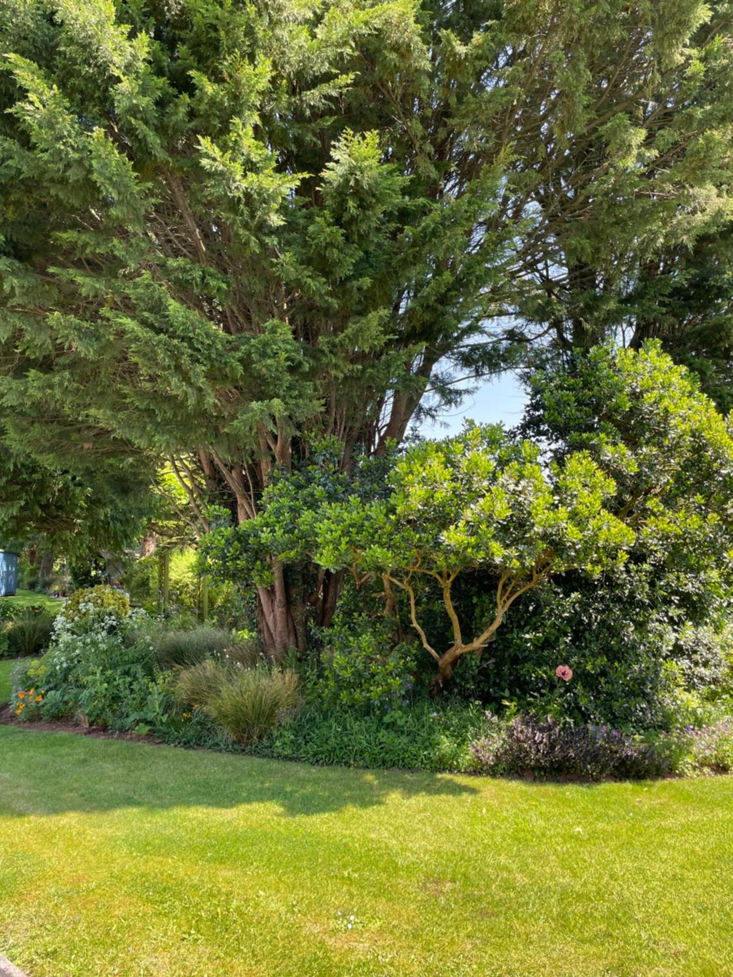 Leylands Annexe Villa East Harptree Buitenkant foto
